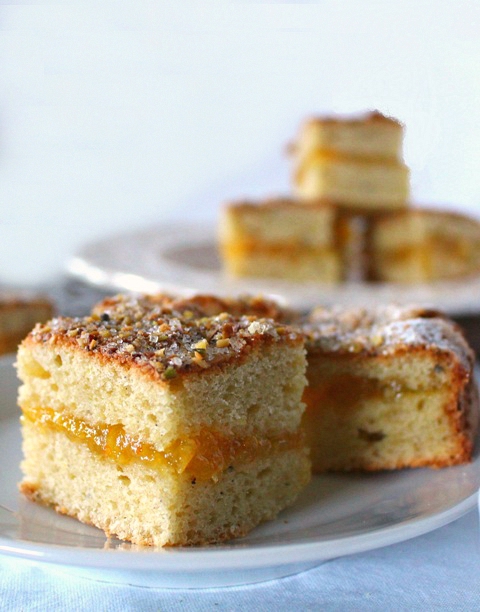 Torta ai kiwi frullati con pistacchi e ricotta ricetta facile