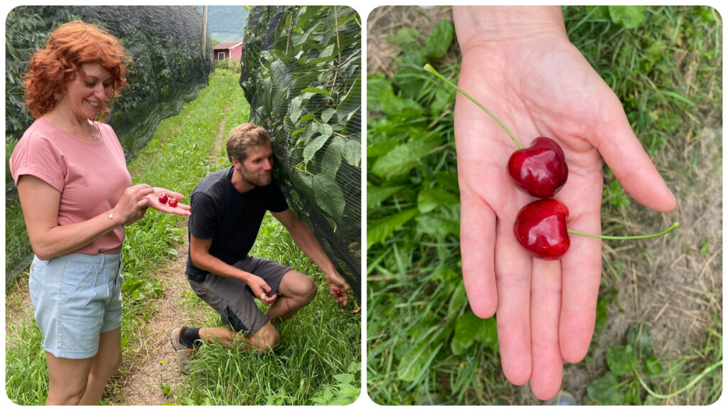 Lukas del Maso Valentinhof gallo rosso