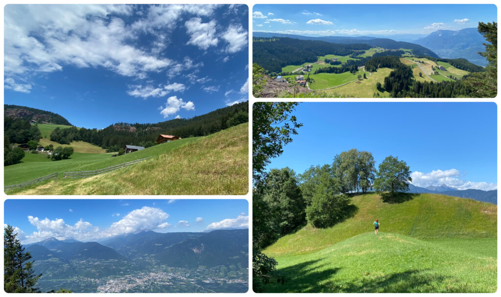 Gallo Rosso: una vacanza a tutta natura nel cuore dell'Alto Adige