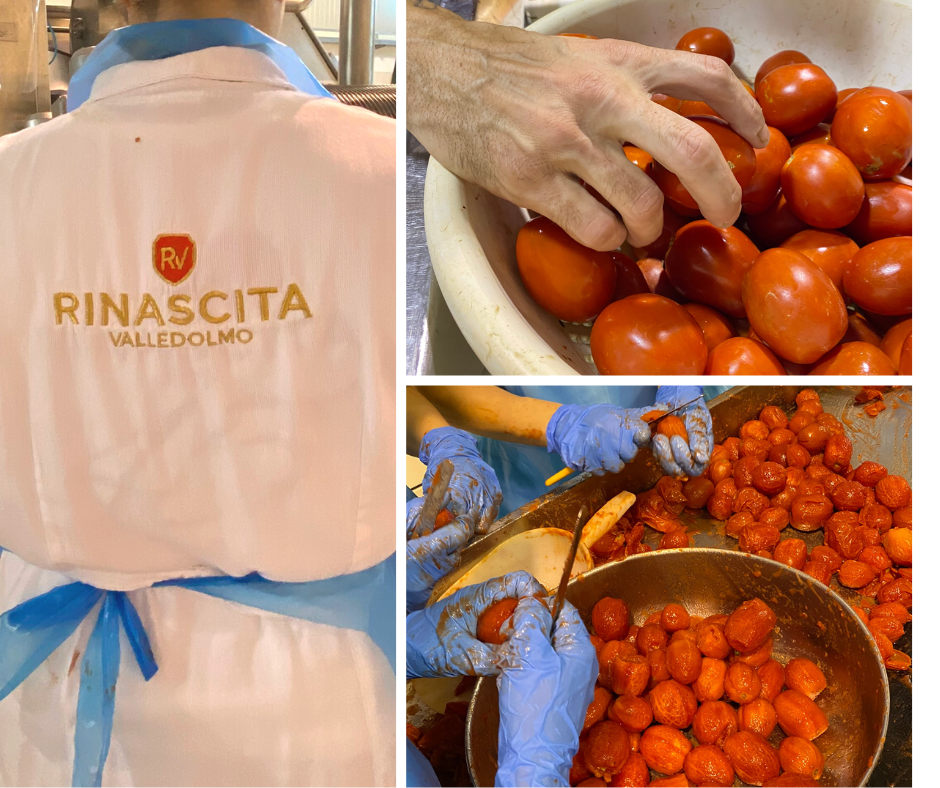 salsa pomodoro siccagno rinascita