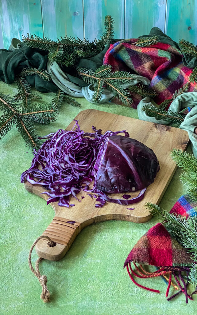 cavolo cappuccio rosso come cucinarlo