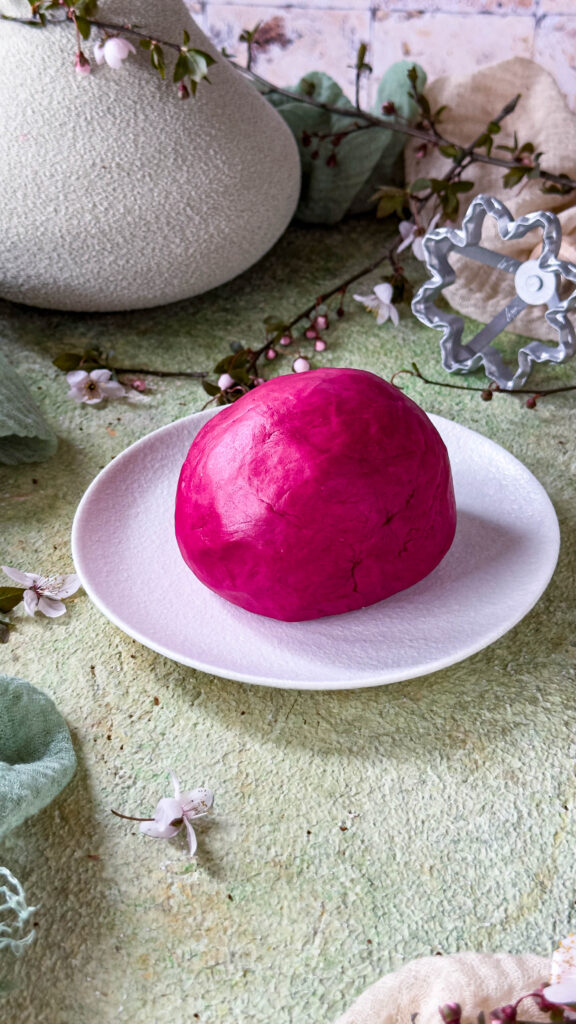 Pasta fresca veg alla barbabietola senza uova